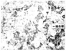 017-1.gif