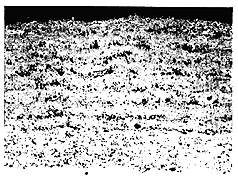 017-2.gif