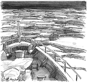 013-1.gif