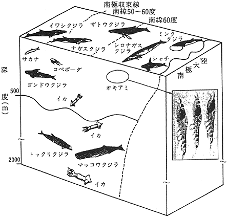 046-1.gif