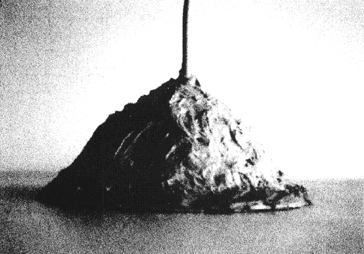 073-1.gif