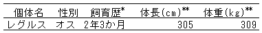 090-1.gif