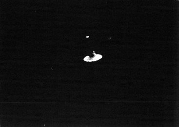 094-2.gif