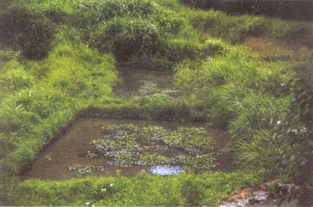 031-1.jpg