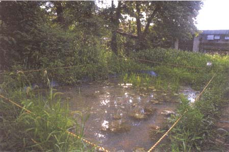 031-2.jpg