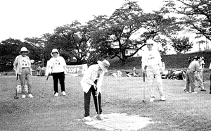 065-1.gif