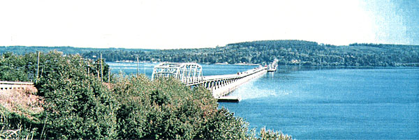 019-1.jpg