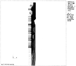 064-3.gif