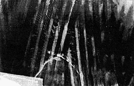 065-4.gif