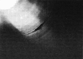 065-5.gif
