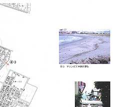 027-3.jpg
