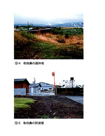 028-3-1.jpg