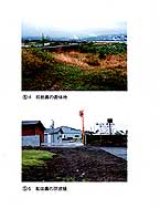 028-3.jpg