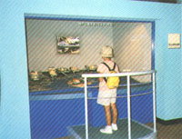 001-4.jpg