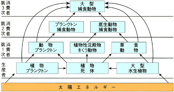 日本財団図書館 電子図書館 きれいな漁場を守っていくために パンフレット