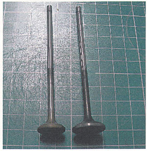 021-3.jpg