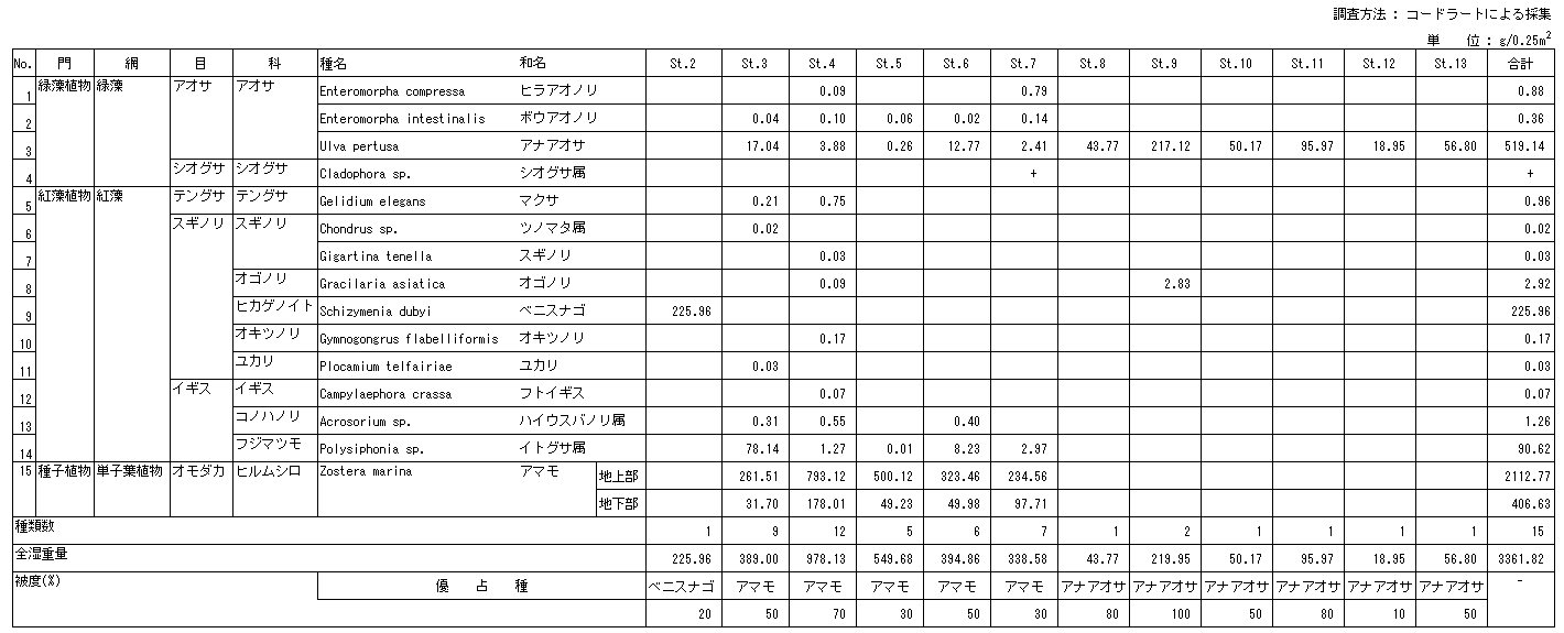 051-1.gif