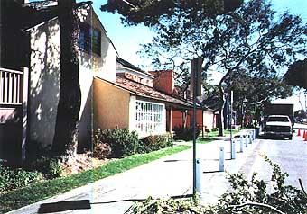 190-5.jpg