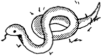 006-1.gif