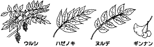 006-4.gif