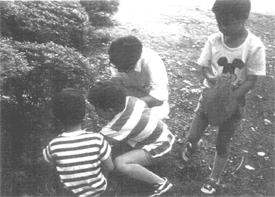 017-1.gif
