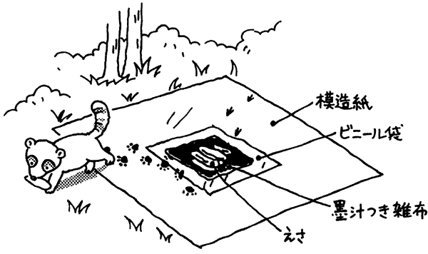 032-1.gif