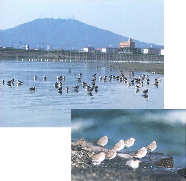 026-1.jpg