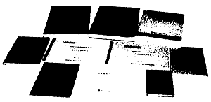 010-1.gif