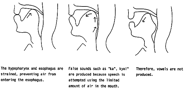 058-1.gif