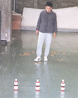 033-1.jpg