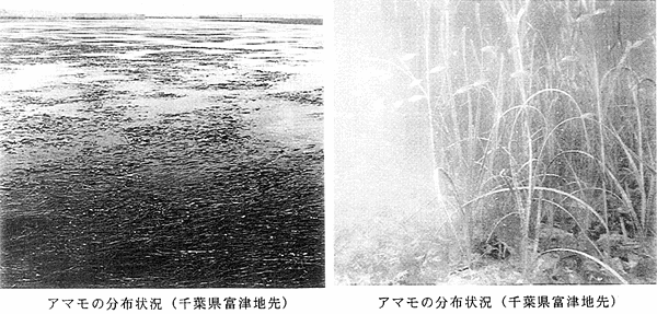 015-2.gif