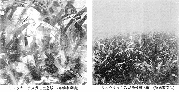 017-2.gif
