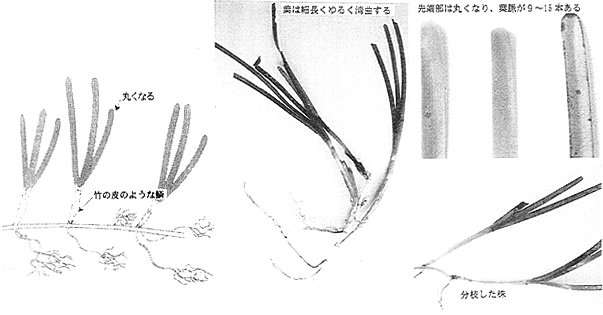 019-1.gif