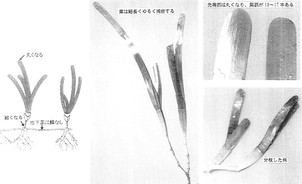 021-1.gif