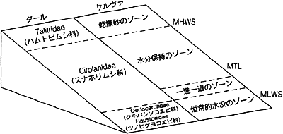 031-1.gif