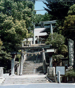 002-1.jpg
