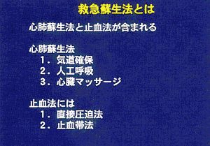 005-3.gif