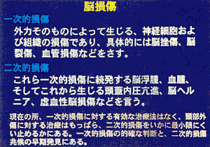 006-5.gif