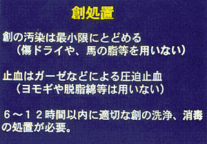 008-3.gif