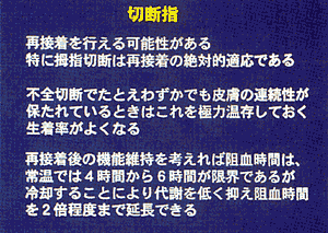 008-4.gif