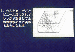 009-2.gif