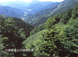 015-3.jpg