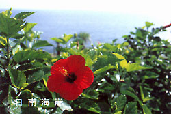 015-7.jpg