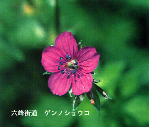 016-5.jpg