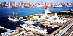 003-2.jpg