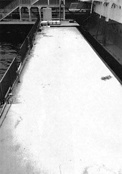 039-1.jpg