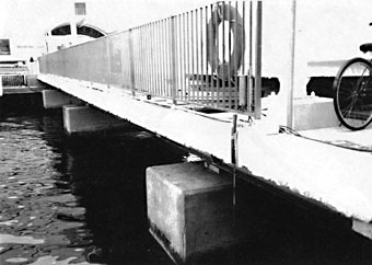 039-3.jpg
