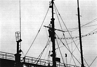 077-2.jpg