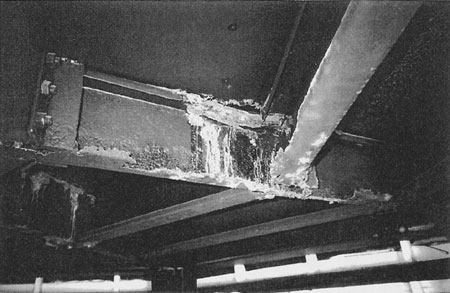 037-1.jpg