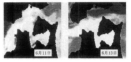 014-1.gif